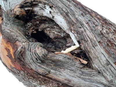 thumbnail_20220126_104039.jpg