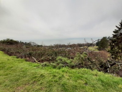 thumbnail_20220126_104523.jpg