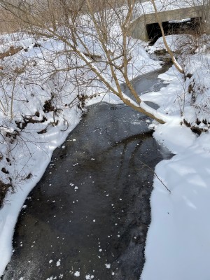 B8DF3223-E3DA-4606-ADF6-378EA6ED389B.jpeg