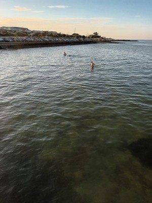 IMG_20220125_071226.jpg