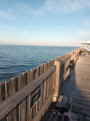 IMG_20220125_071532.jpg