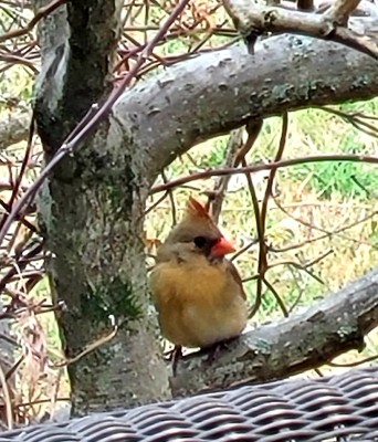 20220125_102913.jpg