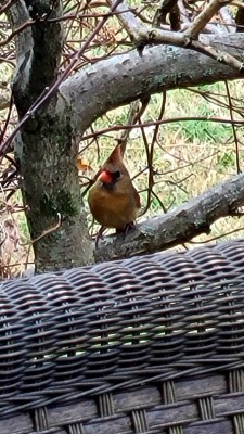 20220125_102908.jpg
