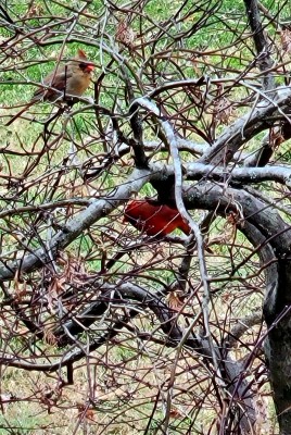 20220125_102749.jpg