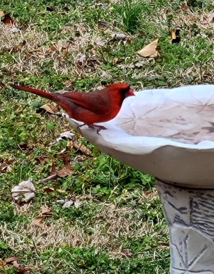 20220125_102744.jpg