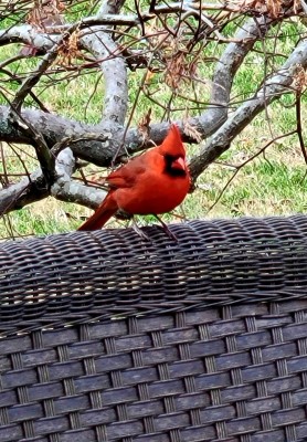20220125_102713.jpg