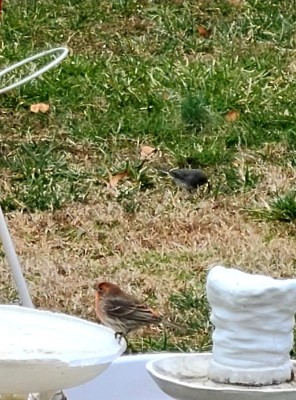 20220128_145237.jpg