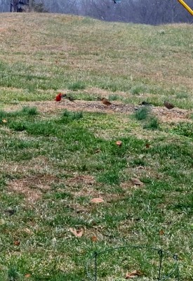 20220128_145221.jpg
