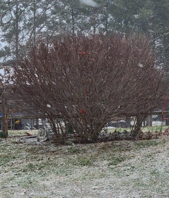 20220128_154235.jpg
