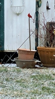 20220128_154047.jpg