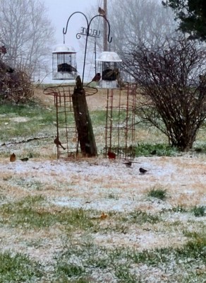 20220128_153919.jpg