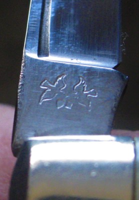 4 bl stag-1 (2).JPG