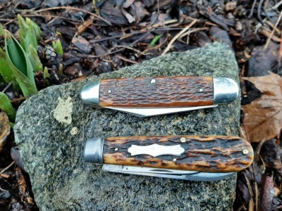 thumbnail_20220131_082550.jpg