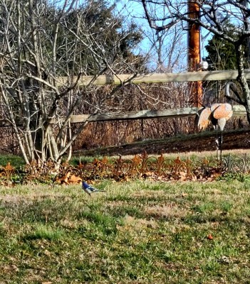 20220131_084046.jpg