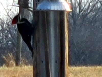 20220131_084000.jpg