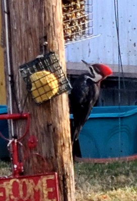 20220131_083938.jpg