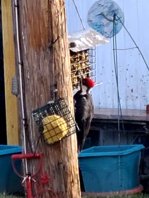 20220131_083936.jpg