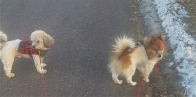 20220202_170829 Buddy & Cabo.jpg