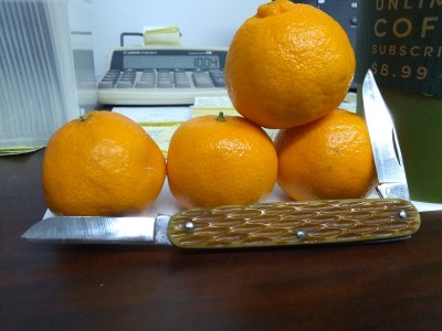 IMG_20220204_080648456.jpg