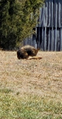20220205_123401.jpg