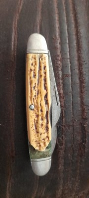 20220206_164646.jpg