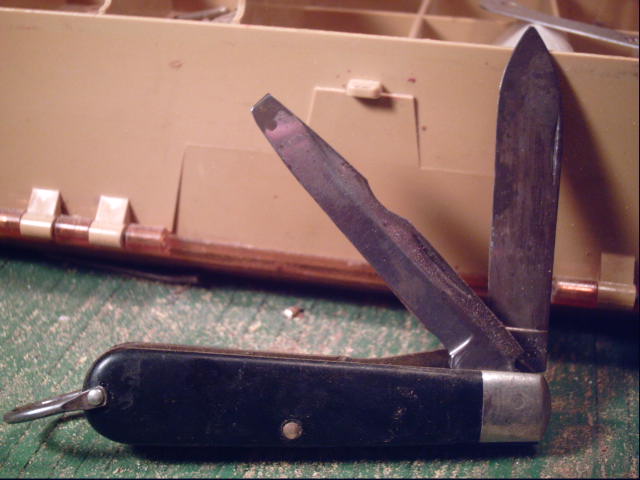 cammilus TL29 b4.jpg