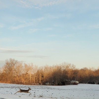 20220207_170247.jpg