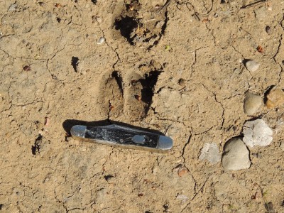 DSCN7678.JPG