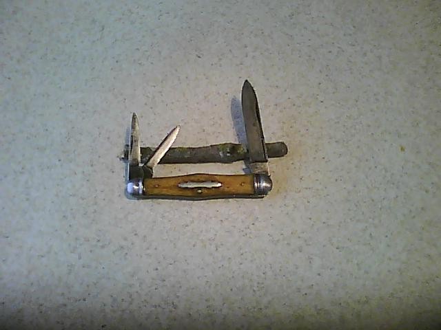 Picture0003.jpg