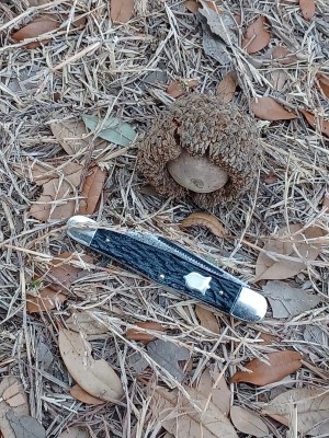 20220216_074516.jpg