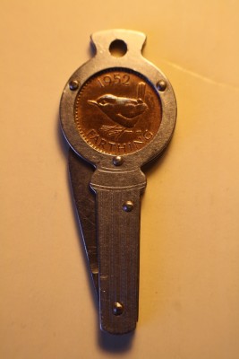 Richards lucky farthing wren.jpg