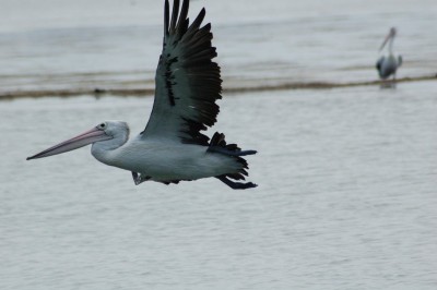 DSC_0038.JPG