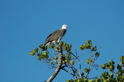 DSC_0080.JPG