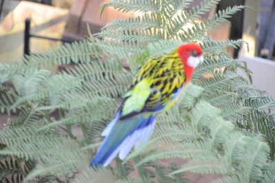 DSC_0012.JPG