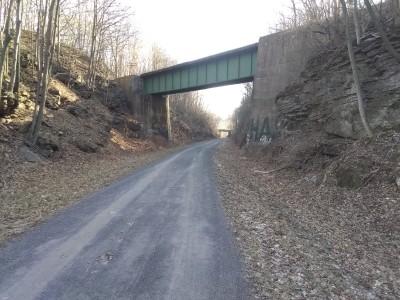 IMG_20220227_090309777.jpg