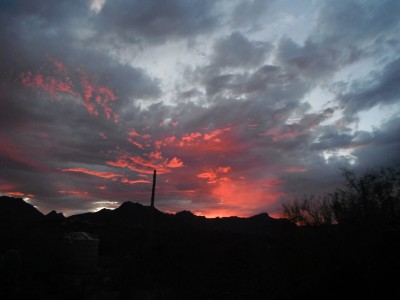 DSCF4033.JPG