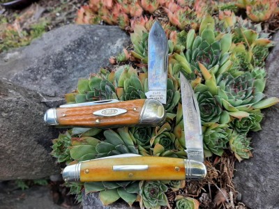 thumbnail_20210913_124919.jpg