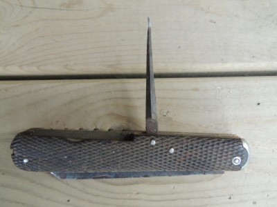 DSCN1031.jpg