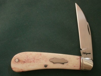 Gavin Margrate Wharncliffe Swayback Giraffe Bone