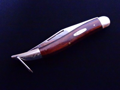 DSCN9869 (1).JPG