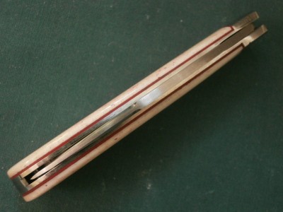 P3100020.JPG