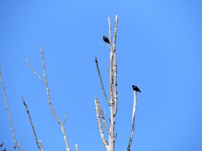 DSCN9891.JPG