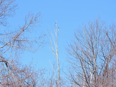 DSCN9893.JPG