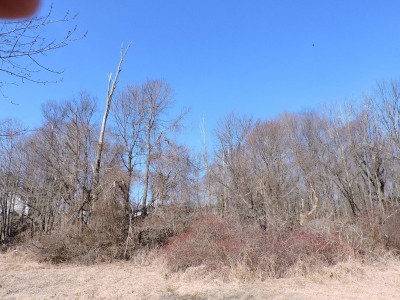 DSCN9894.JPG