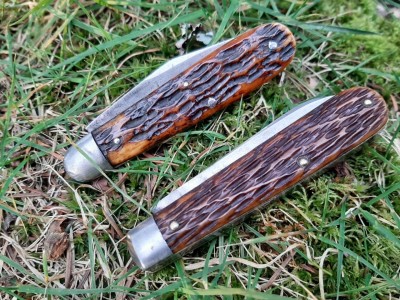 thumbnail_20220311_174243.jpg