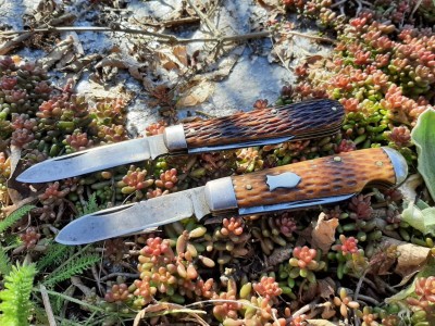 thumbnail_20220310_100750.jpg