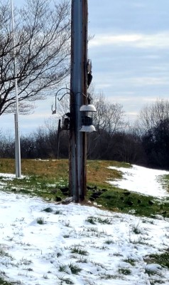 20220313_085439.jpg