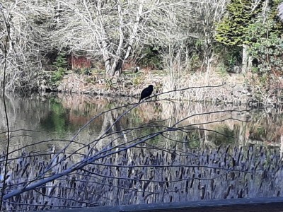 thumbnail_20220310_105403.jpg
