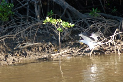 DSC_0086.JPG