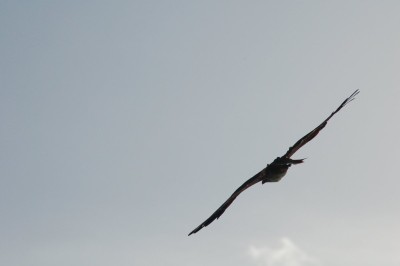 DSC_0094.JPG